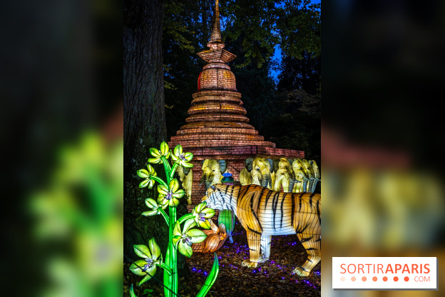 Thoiry Lumières Sauvages 2025 : le Bal des Esprits - A7C09486