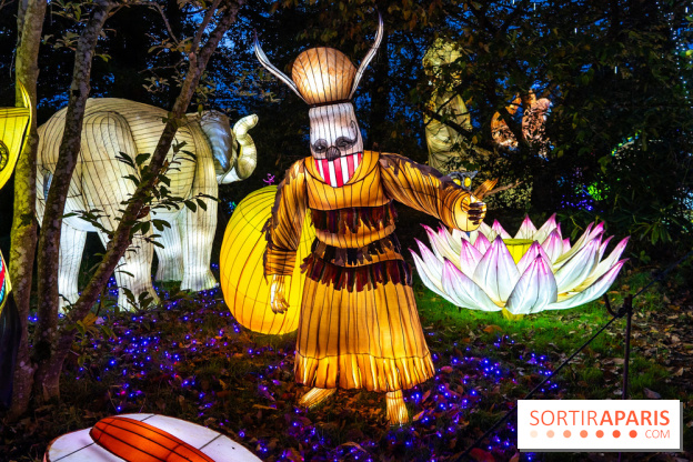 Thoiry Lumières Sauvages 2025 : le Bal des Esprits - A7C09489