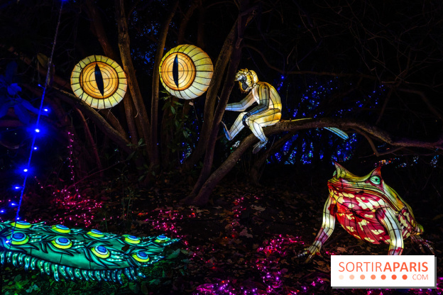 Thoiry Lumières Sauvages 2025 : le Bal des Esprits - A7C09492