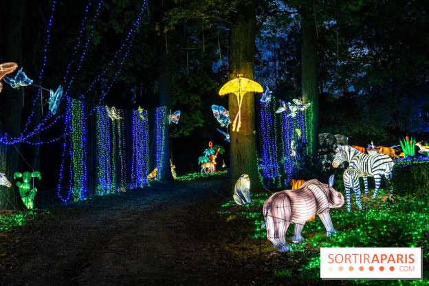 Thoiry Lumières Sauvages 2025 : le Bal des Esprits - A7C09500