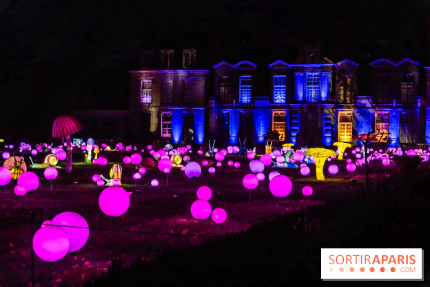 Thoiry Lumières Sauvages 2025 : le Bal des Esprits - A7C09531