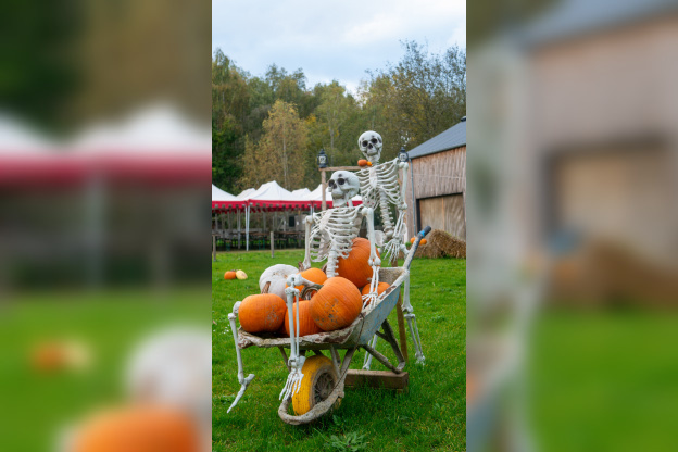 Les Forêts de la Terreur à Sherwood Parc - P1290156