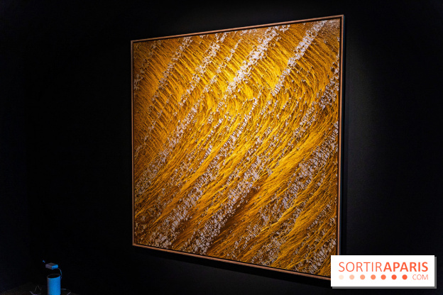 Exposition 'Couleurs de Corée, Lumière sur l’art contemporain coréen' au Centre Culturel Coréen - les photos - A7C09785