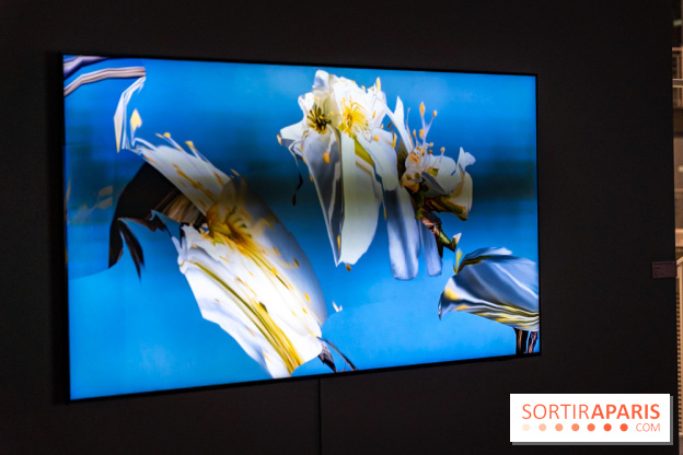 Exposition 'Couleurs de Corée, Lumière sur l’art contemporain coréen' au Centre Culturel Coréen - les photos - A7C09798