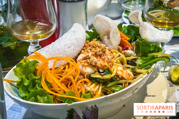 Le Bambou restaurant vietnamien Paris 13e - photos - salade de mangue verte