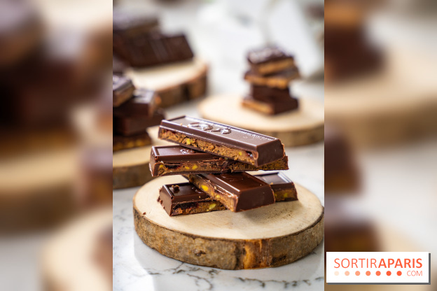 Les Bûches de Noël de Pleincœur par Maxime Frédéric 2025 et ses créations de fêtes - A7C07675