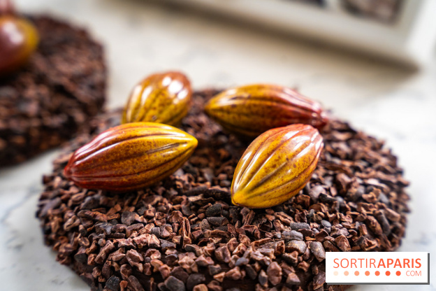 Les Bûches de Noël de Pleincœur par Maxime Frédéric 2025 et ses créations de fêtes - A7C07681