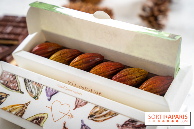 Les Bûches de Noël de Pleincœur par Maxime Frédéric 2025 et ses créations de fêtes - A7C07682