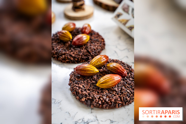 Les Bûches de Noël de Pleincœur par Maxime Frédéric 2025 et ses créations de fêtes - A7C07683