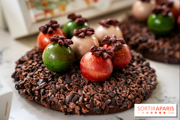 Les Bûches de Noël de Pleincœur par Maxime Frédéric 2025 et ses créations de fêtes - A7C07684