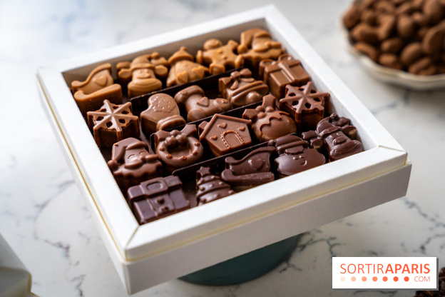 Les Bûches de Noël de Pleincœur par Maxime Frédéric 2025 et ses créations de fêtes - A7C07686