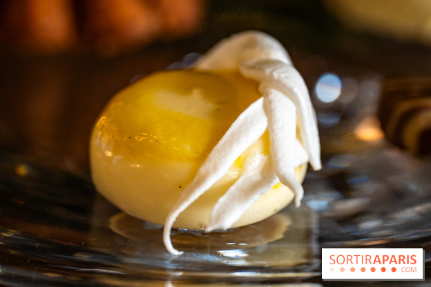 La Bûche de Noël du Péninsula 2025 : Joyaux des Pins - A7C07895