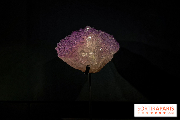 Rêveries de pierres : l'exposition rétrospective gratuite à l'Ecole des Arts Joailliers - IMG 0016