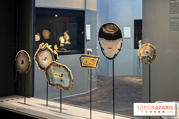 Rêveries de pierres : l'exposition rétrospective gratuite à l'Ecole des Arts Joailliers - IMG 0041