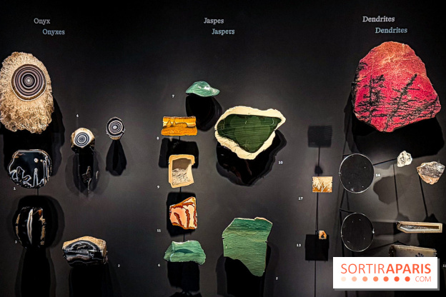 Rêveries de pierres : l'exposition rétrospective gratuite à l'Ecole des Arts Joailliers
