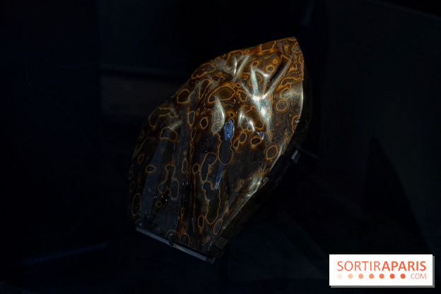 Rêveries de pierres : l'exposition rétrospective gratuite à l'Ecole des Arts Joailliers - IMG 0063