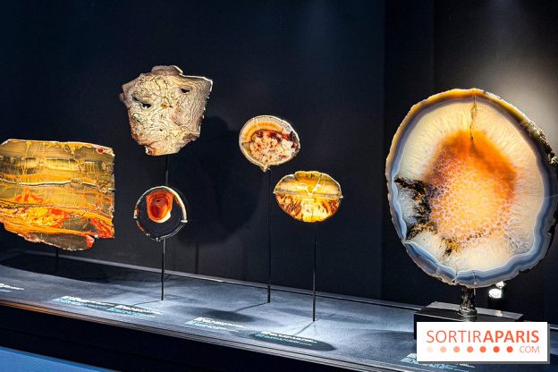 Rêveries de pierres : l'exposition rétrospective gratuite à l'Ecole des Arts Joailliers - IMG 0070