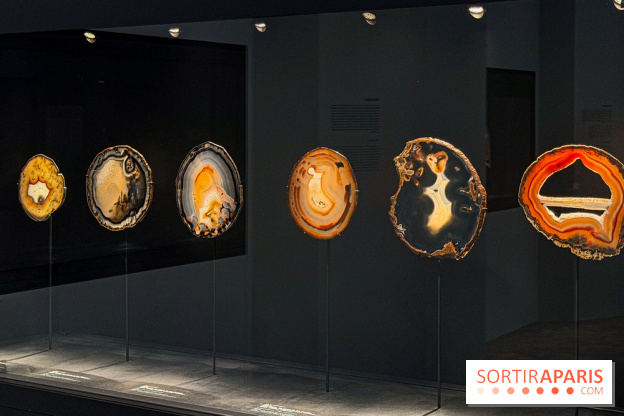 Rêveries de pierres : l'exposition rétrospective gratuite à l'Ecole des Arts Joailliers - IMG 0119