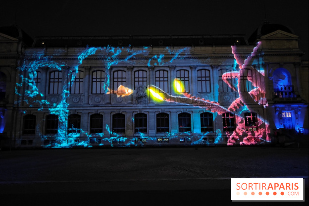 En voie d'illumination : Lumières de la nature : le festival nocturne hivernal du Jardin des Plantes - fotor 1762431466628