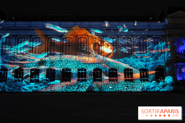 En voie d'illumination : Lumières de la nature : le festival nocturne hivernal du Jardin des Plantes - fotor 1762431479559