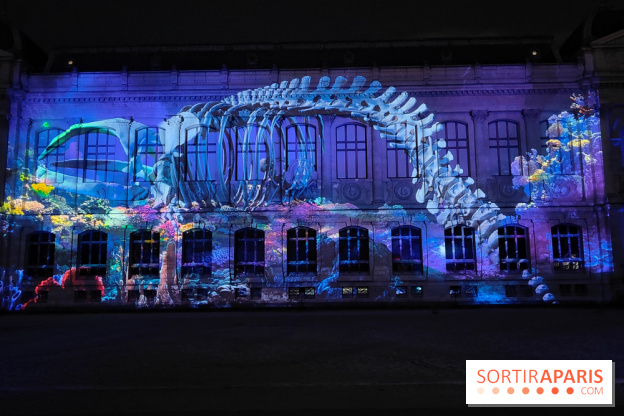 En voie d'illumination : Lumières de la nature : le festival nocturne hivernal du Jardin des Plantes - fotor 1762431492963