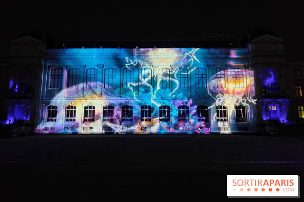 En voie d'illumination : Lumières de la nature : le festival nocturne hivernal du Jardin des Plantes - fotor 1762431514038