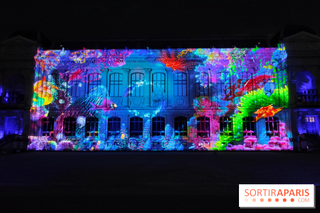 En voie d'illumination : Lumières de la nature : le festival nocturne hivernal du Jardin des Plantes - fotor 1762431537905