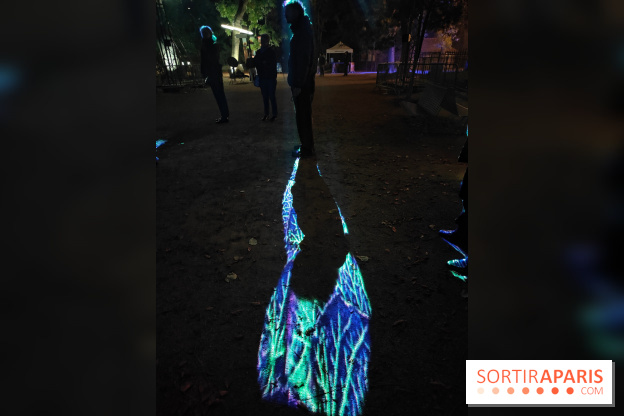 En voie d'illumination : Lumières de la nature : le festival nocturne hivernal du Jardin des Plantes - fotor 1762431261369