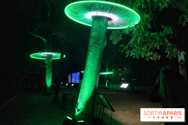 En voie d'illumination : Lumières de la nature : le festival nocturne hivernal du Jardin des Plantes - fotor 1762431293928