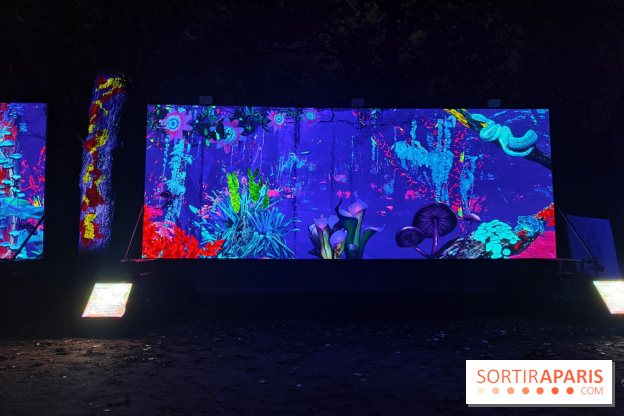 En voie d'illumination : Lumières de la nature : le festival nocturne hivernal du Jardin des Plantes - fotor 1762431355748