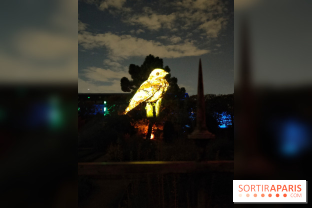 En voie d'illumination : Lumières de la nature : le festival nocturne hivernal du Jardin des Plantes - fotor 1762431389482