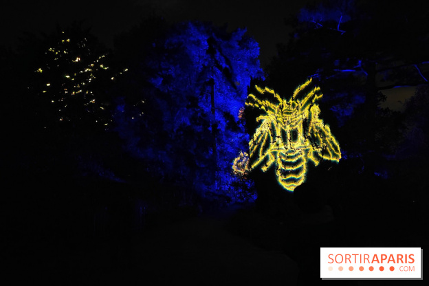 En voie d'illumination : Lumières de la nature : le festival nocturne hivernal du Jardin des Plantes - fotor 1762431441677