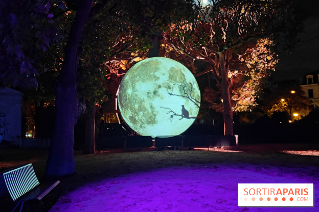 En voie d'illumination : Lumières de la nature : le festival nocturne hivernal du Jardin des Plantes - fotor 1762431759366