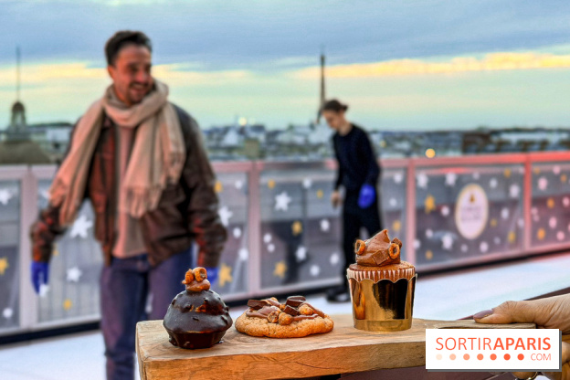 Noël 2025 au Printemps Haussmann : une patinoire gratuite au sommet du grand magasin - IMG 0263