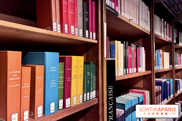 Mazarin et les gardiens du secret - IMG 0285