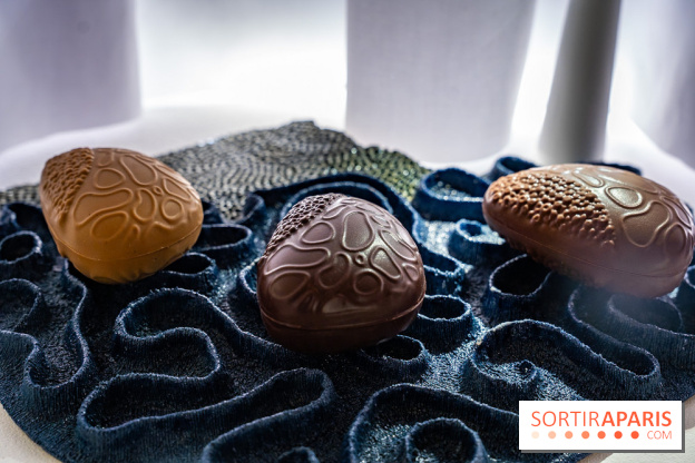 Bûches de Noël et créations de fête 2025 de Pierre Hermé : les Abysses - A7C07844