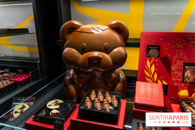 Bûches de Noël de Pascal Caffet 2025 et créations de fête - A7C08594