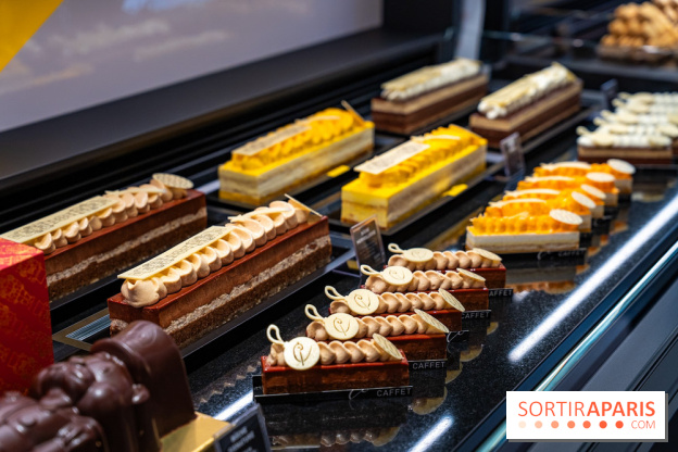 Bûches de Noël de Pascal Caffet 2025 et créations de fête - A7C08602