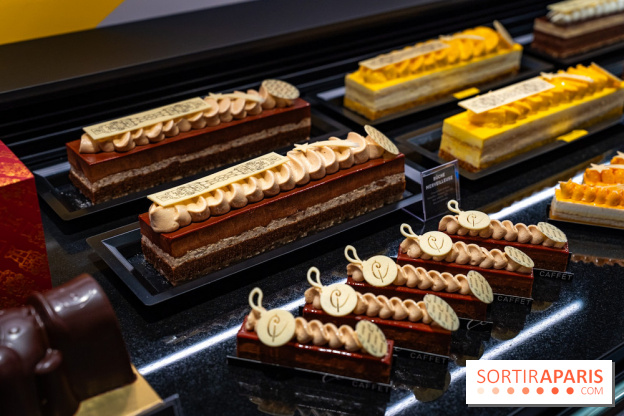 Bûches de Noël de Pascal Caffet 2025 et créations de fête - A7C08604