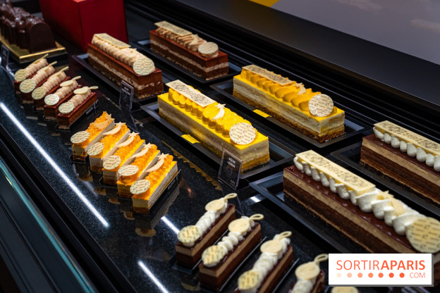 Bûches de Noël de Pascal Caffet 2025 et créations de fête - A7C08607