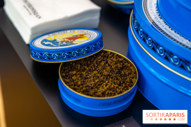 Bûche de Noël Opéra Garnier de la Maison du Chocolat 2025 - photos - A7C07788