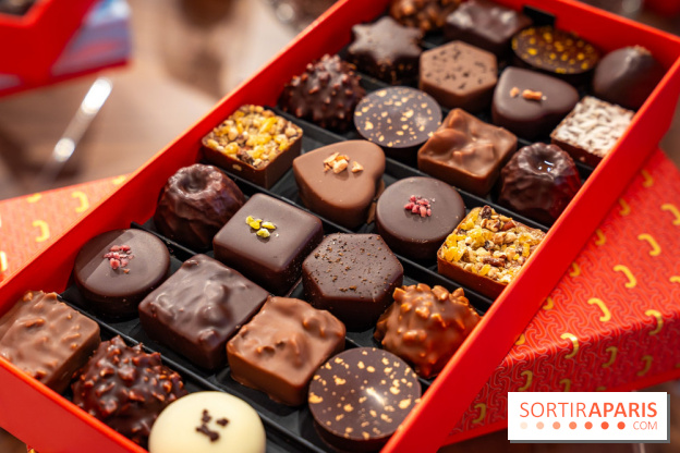 Bûche de Noël et créations de fête de Chapon 2025 - A7C07441