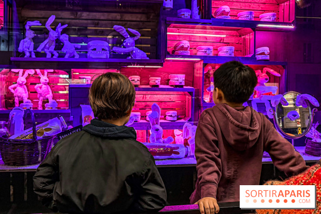 Les vitrines de Noël 2025 du Bon Marché : le grand magasin se métamorphose en (Bon) Marché de Noël - IMG 0675