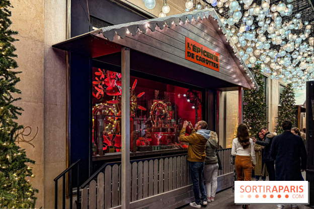 Les vitrines de Noël 2025 du Bon Marché : le grand magasin se métamorphose en (Bon) Marché de Noël - IMG 0709