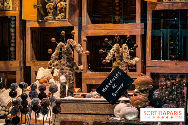 Les vitrines de Noël 2025 du Bon Marché : le grand magasin se métamorphose en (Bon) Marché de Noël - IMG 0726