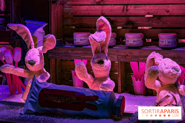 Les vitrines de Noël 2025 du Bon Marché : le grand magasin se métamorphose en (Bon) Marché de Noël - IMG 0755