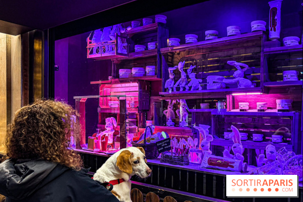 Les vitrines de Noël 2025 du Bon Marché : le grand magasin se métamorphose en (Bon) Marché de Noël - IMG 0762