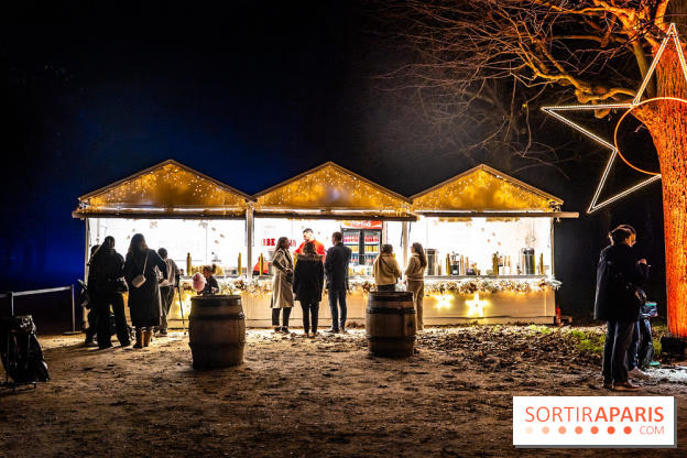 Lumières en Seine 2025, les photos du parcours de lumières - A7C00357