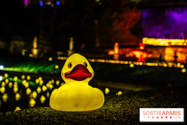 Lumières en Seine 2025, les photos du parcours de lumières - A7C00381