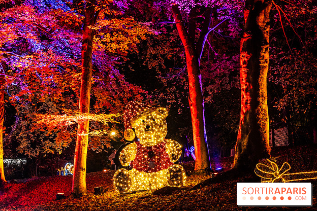 Lumières en Seine 2025, les photos du parcours de lumières - A7C00389